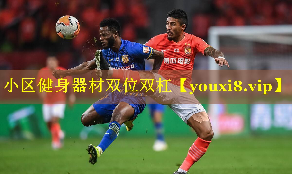 小区健身器材双位双杠