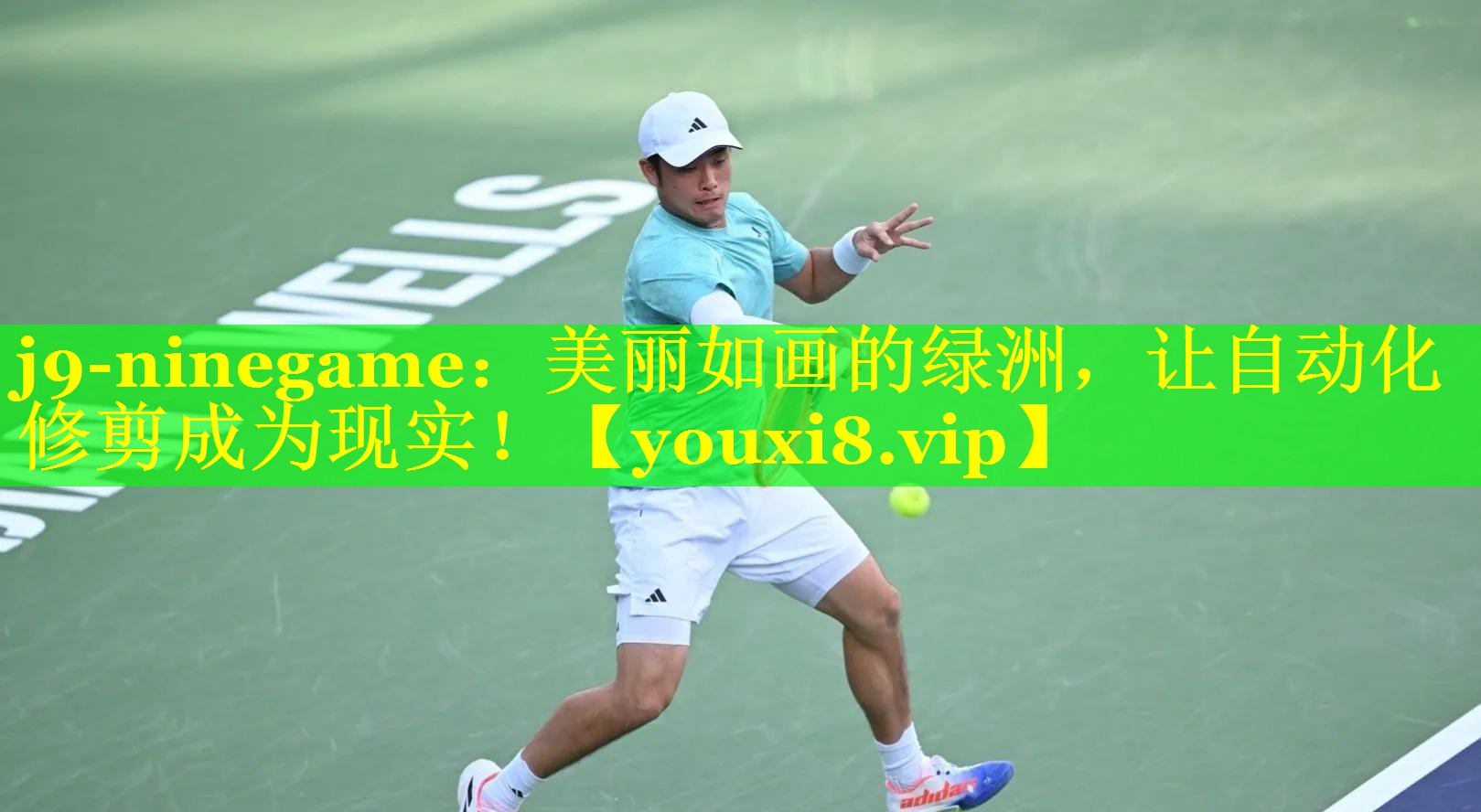 美丽如画的绿洲,让自动化修剪成为现实! 美丽如画的绿洲,让自动化修剪成为现实!