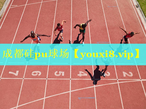 成都硅pu球场 成都硅pu球场