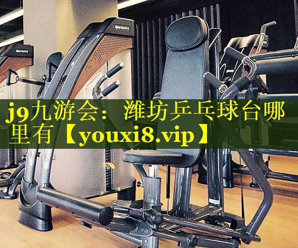 潍坊乒乓球台哪里有 潍坊乒乓球台哪里有