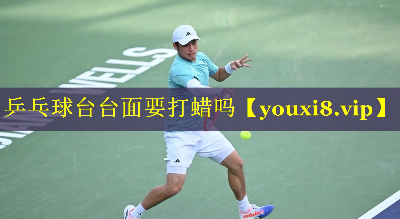 乒乓球台台面要打蜡吗 乒乓球台台面要打蜡吗