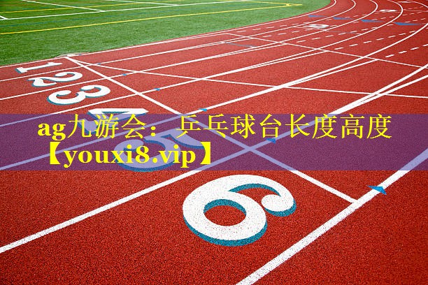 乒乓球台长度高度 乒乓球台长度高度
